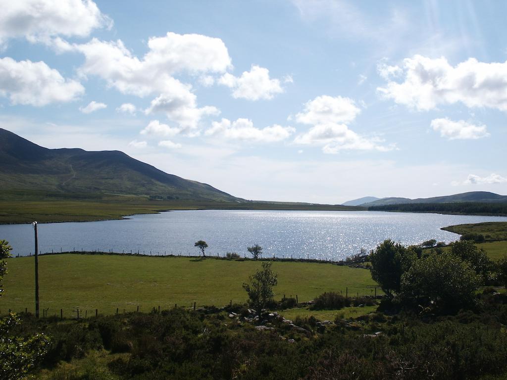 Bru Na Dromoda/Dromid Hostel Killeenleagh Bridge Room photo